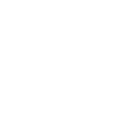 Steelbird